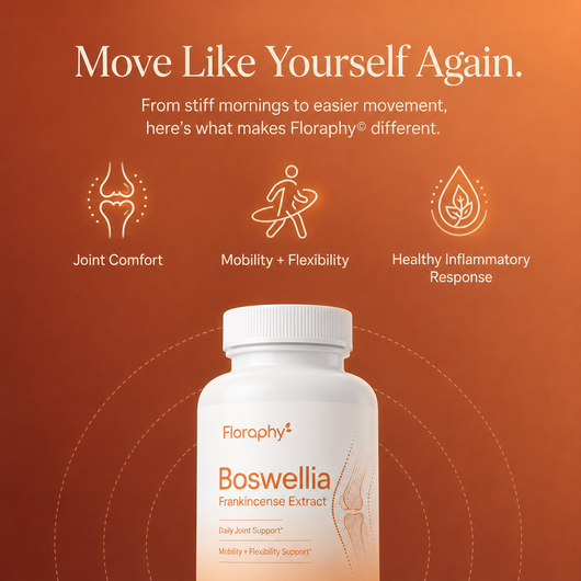 Boswellia Extract Capsules